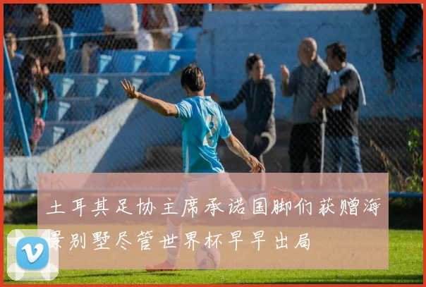 土耳其足协主席承诺国脚们获赠海景别墅尽管世界杯早早出局