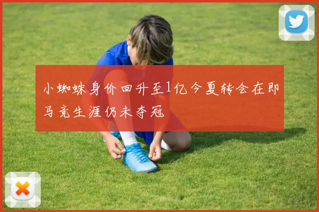 小蜘蛛身价回升至1亿今夏转会在即马竞生涯仍未夺冠